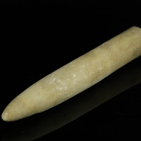 Белемнит